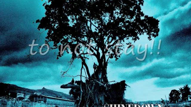 Shinedown Lost In The Crowd Lyrics