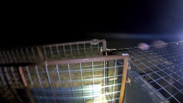 Loading out 25 hogs in 5 minutes (skip the first 25 seconds of nothing I’m too lazy to fix…) смотреть онлайн