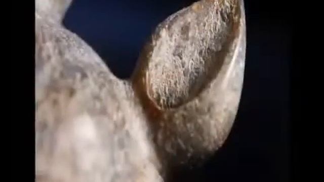 Бронислав Виногродский. Управление судьбой