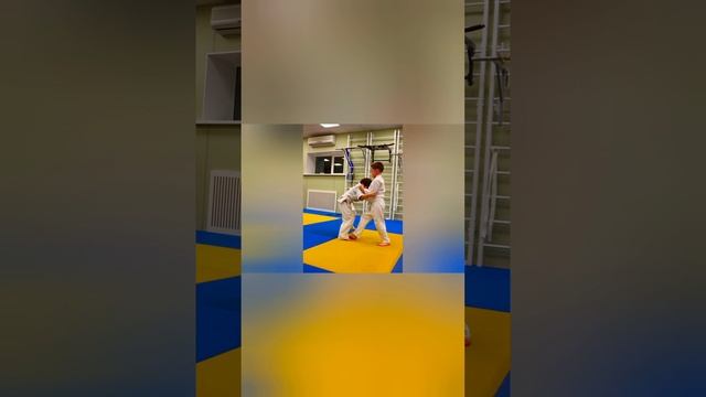 ШБИ Сейкибукан. Эмоции...настроение смотреть онлайн