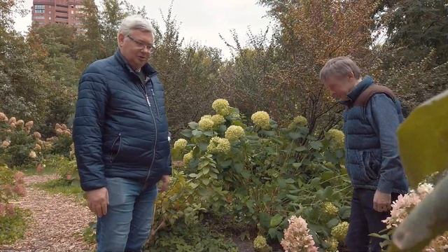Аптекарский огород осенью. Что цветет в самое дождливое время года? смотреть онлайн