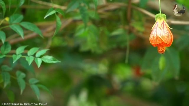 The Best Relaxing Piano Classical Love Songs Of All Time - 50 Most Famous Pieces of Classical Musi смотреть онлайн