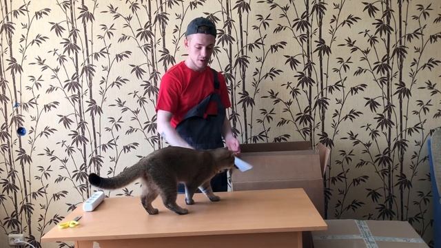 Оборудование для химчистки химия для чистки мягкой мебели смотреть онлайн