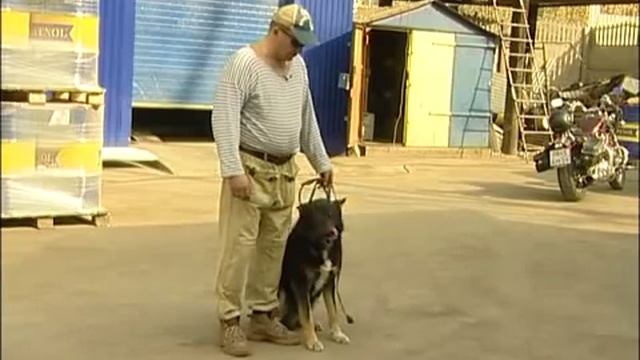 Волкособов проверили ультразвуком смотреть онлайн