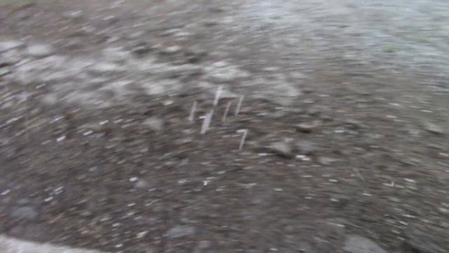 Крупный град 26 мая 2020 года. Град размером с перепелиное яйцо. Град в Томске 2020. Томск град 202 смотреть онлайн