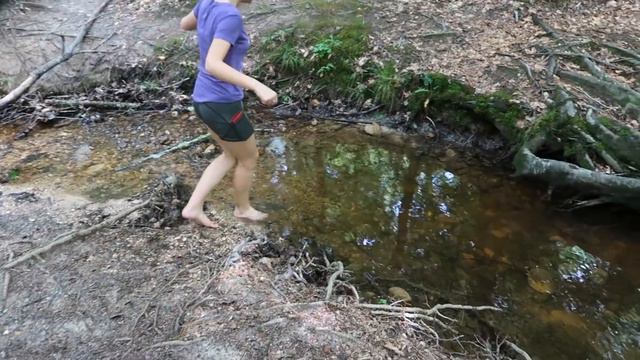 Куда поехать, если тянет на природу? Raven Rock State Park / Почему вода здесь коричневая? смотреть онлайн