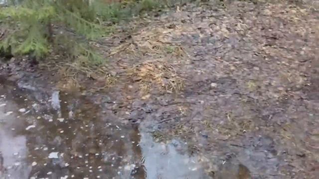 Везде Ход переломка Варнавинский район смотреть онлайн