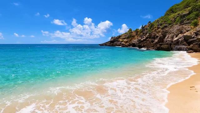 Tropical Beach Ambience смотреть онлайн