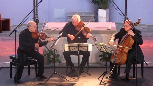 Franz Schubert, String Trio in B-flat Major, D. 471 смотреть онлайн