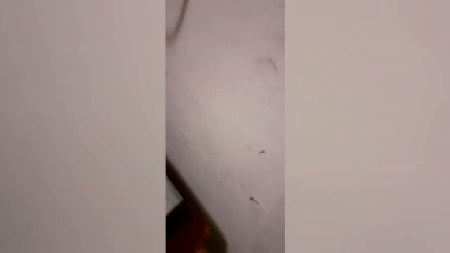 Котел Холмова Економ дороботка касеты дожыга. смотреть онлайн