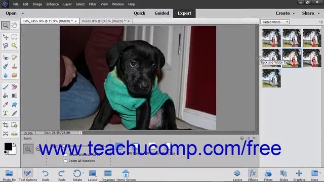 Photoshop Elements 2019 Tutorial Applying Effects Adobe Training смотреть онлайн