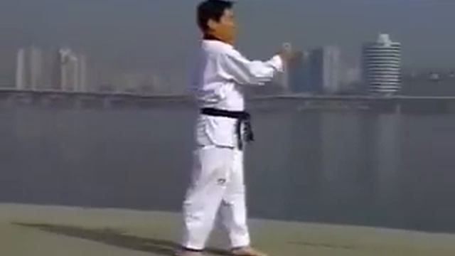 Taeguek Il Jang смотреть онлайн