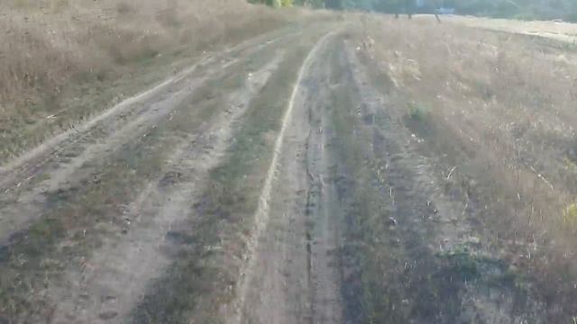 Третий Спас. Приметы и традиции на 29 августа.