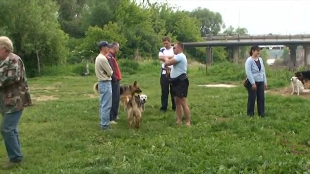 Прогулянка собак під час занять смотреть онлайн