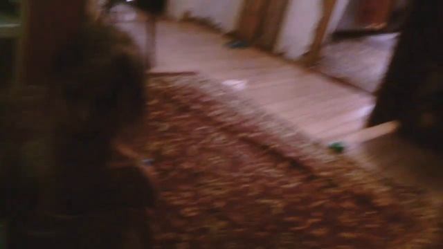Весны не будет/Депресняк/шарлотка с вишней и яблоками смотреть онлайн
