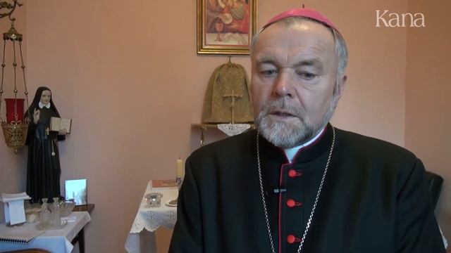 Освящение монастыря сестер Канонисс в Господе Иисусе на острове Русском смотреть онлайн