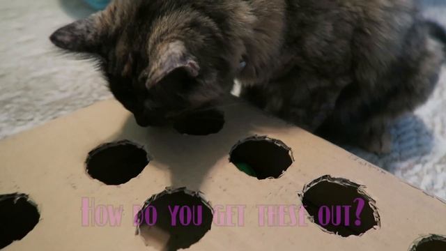 DIY CAT TOY MAZE PUZZLE TREAT INTERACTIVE CARDBOARD PEEK-A-BOO HIDE AND SEEK смотреть онлайн