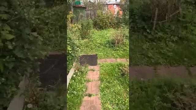 Президентская дача в Талдоме смотреть онлайн