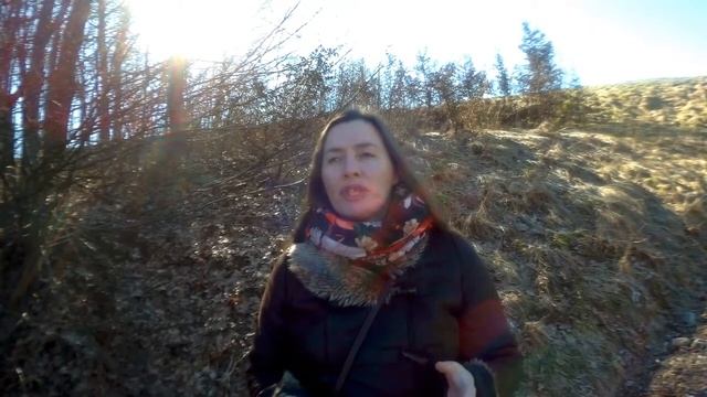 Как сделать задания для КВЕСТа? смотреть онлайн