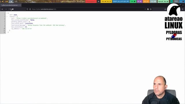 Bot de telegram para descargas vídeos de YouTube. El webhook. смотреть онлайн