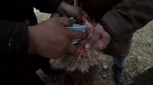 Монгольская кухня - Настоящее монгольское барбекю