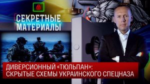 Диверсионный «Тюльпан»: скрытые схемы украинского спецназа