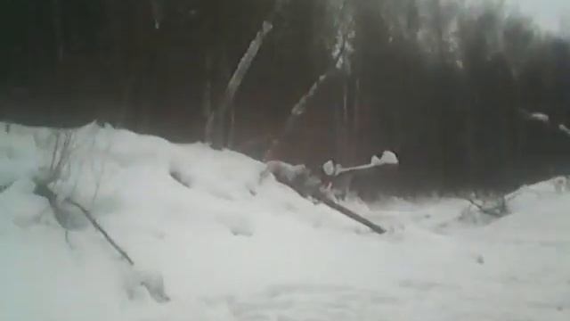 Рыбалка в тайге сибири смотреть онлайн