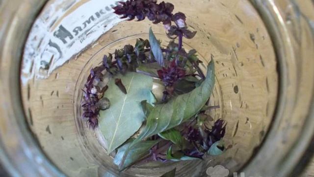 Рецепты от шеф-повара