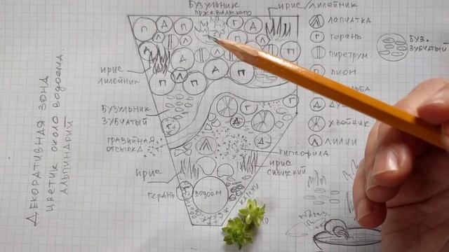 Создаём цветник с ирисами и пионами и маленьким садовым прудом. Маленький сад. смотреть онлайн