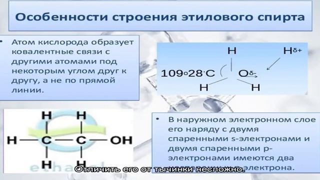 Пестик и тычинка – главные части цветка: как происходит размножение растений?