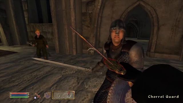 Day 176 - Killing Adoring Fan Every Day Until Elder Scrolls Skyblivion is Released смотреть онлайн