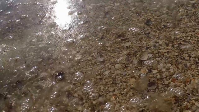 Бердянск сегодня 5 марта 2018 год 13:33 смотреть онлайн