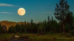 Июньская ночь музыка/ маусым түні/2009 жылғы ән