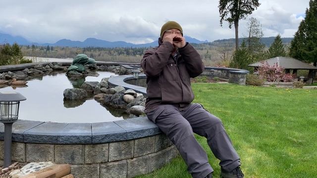 Waltz No. 2 - Dmitri Shostakovich - Diatonic Harmonica смотреть онлайн