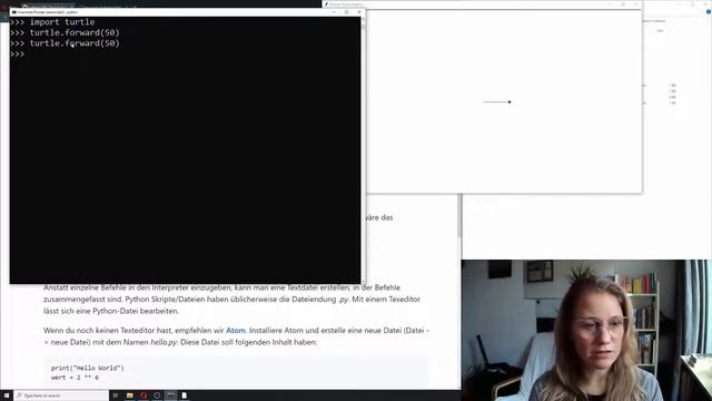 [Mathesis] 0th Session - Python Installation und erste Schritte смотреть онлайн
