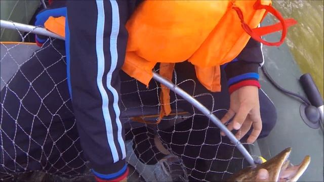 ВОТ ЭТО КРОКОДИЛ!!! ВОТ ЭТО ПАРОВОЗ!!! Крупная щука на джиг. Рыбалка Иртыш, Омская область смотреть онлайн