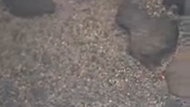 Кристальная вода смотреть онлайн