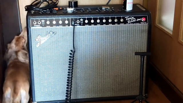 Fender '65 Twin Reverb Vintage Reissue🎸🔈 смотреть онлайн