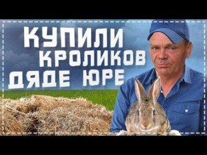 Купили Очень Красивых Породистых Кроликов Дяде Юре Для Разведения