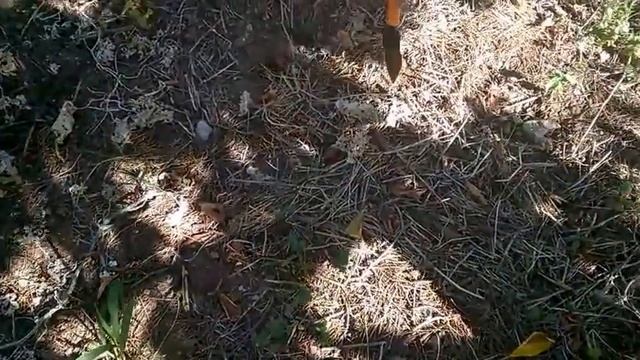 СИДЕРАТЫ ОСЕНЬЮ / КАК УЛУЧШИТЬ ПОЧВУ - часть 1 смотреть онлайн