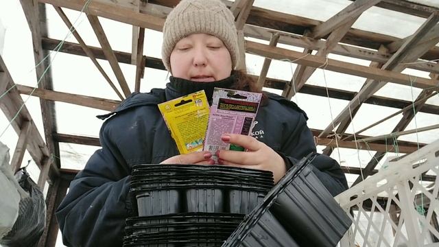 Посадка астры. Сажаю в зиму. смотреть онлайн