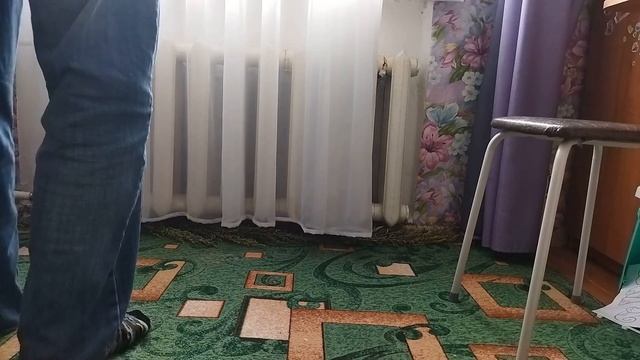 Как Бесплатно избавиться от блох в квартире(доме) смотреть онлайн