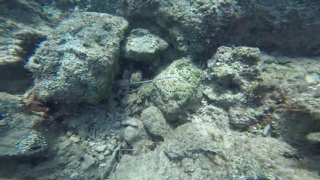 Round-the-world 2015/2016. Noah snorkeling at Konnos beach/Protaras Cyprus смотреть онлайн