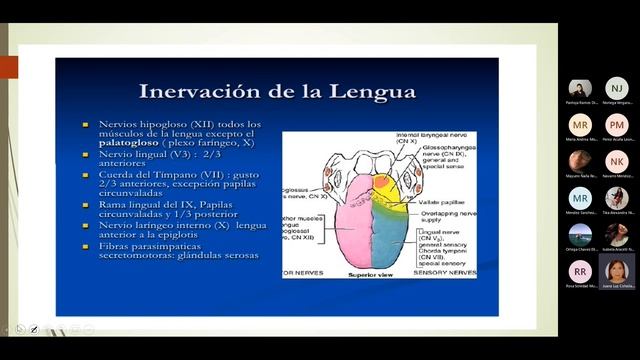 Semiología de enfermedades de la cavidad oral смотреть онлайн