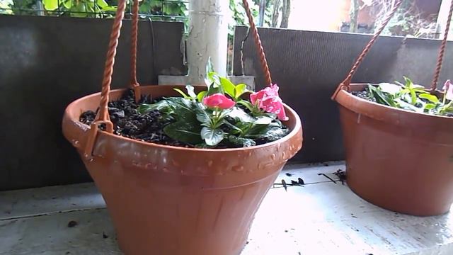 Два года как мы переехали в Белореченск