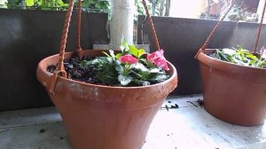 Два года как мы переехали в Белореченск