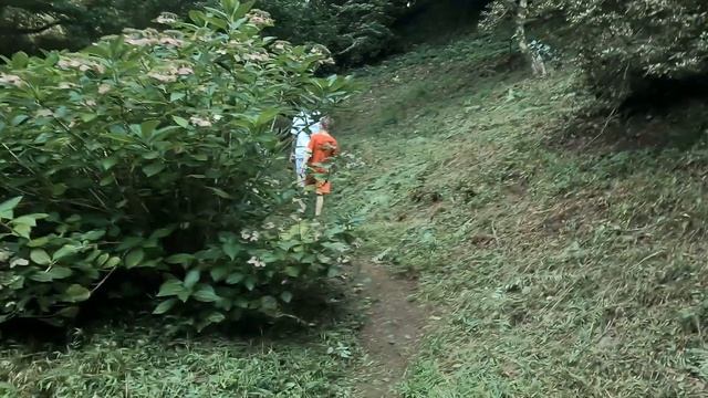 Батумский ботанический сад! Октябрь 2022! Batumi Botanical Garden! October 2022! смотреть онлайн