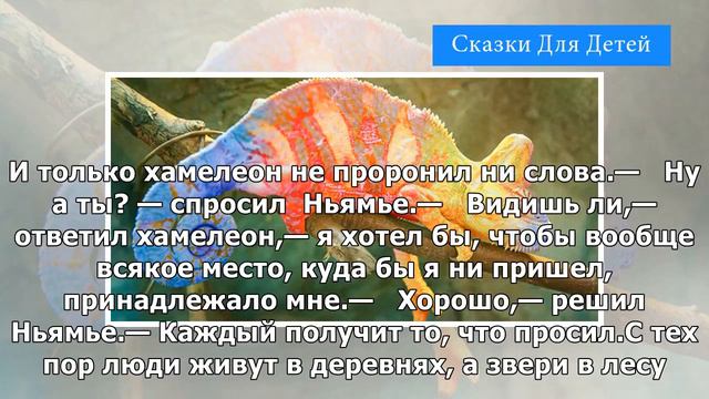Какого хамелеон цвета? | Сказки Для Детей смотреть онлайн