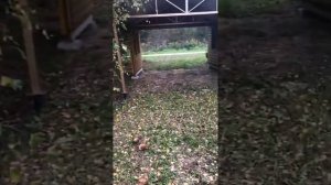 Экскурсия по родовому поместью Владимира Мегре