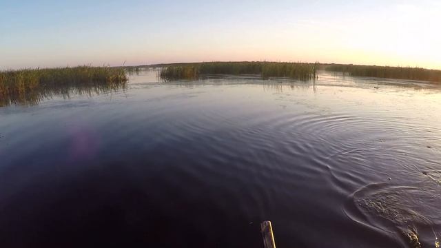 Охота на утку, ОТКРЫТИЕ 2017г смотреть онлайн